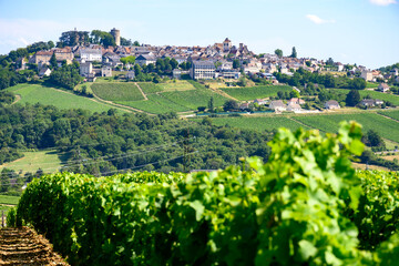 View on vineyards around Sancerre wine making village, rows of sauvignon blanc grapes on hills with...