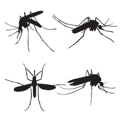 mosquito silhouette isolated black on white background - obrazy, fototapety, plakaty