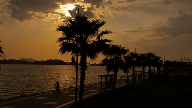 Tourists silhouettes promenade by palm shore. A view of tropical bay with resting people by the sea water during evening in summer.