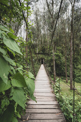 Picturesque paths in the forests of Ecuador on the outskirts of the city of Otavalo. Bridge over the river.