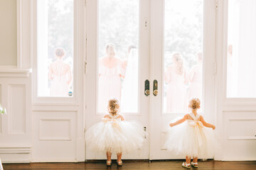 Two flower girls. Wedding. Big Tulle TuTu dresses. Bright wedding photography