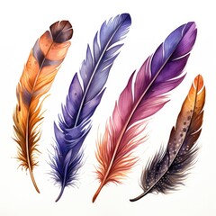 Watercolor multicolored rich bright feathers, dream catcher, isolated feather for different designs.