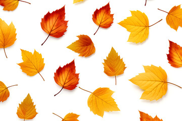 Autumn leaves pattern on white background, generated by AI
