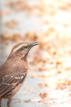 bird enjoying the wonderful nature