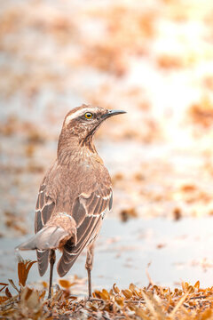 bird enjoying the wonderful nature
