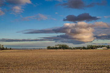 dramatic clouds and afternoon light over a field of corn stubble in fall room for text shot in the...