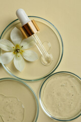 Petri dishes with samples of cosmetic oil, pipette and beautiful flower on beige background, flat lay