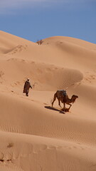 Fototapeta na wymiar Bedouin man following a dromedary camel (Camelus dromedarius) over a sand dune in the Sahara Desert, outside of Douz, Tunisia
