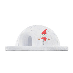 Igloo Winter 3D Illustrations