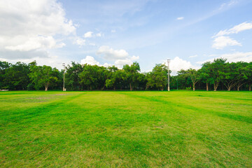 landscape of grass field and green environment public park use as natural background, backdrop.
