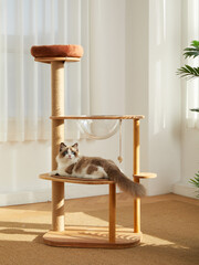 Cat Tower,Cat tree,pet cat wooden frame,cat climbing frame,indoor
