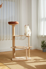 Cat Tower,Cat tree,pet cat wooden frame,cat climbing frame,indoor