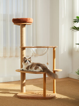 Cat Tower,Cat tree,pet cat wooden frame,cat climbing frame,indoor