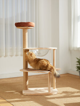 Cat Tower,Cat tree,pet cat wooden frame,cat climbing frame,indoor