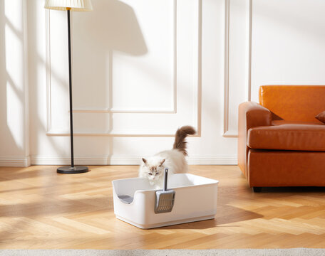cat litter box,Cat litter basin,pet toilet,indoor