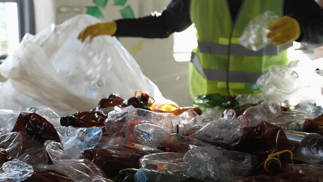PET Plastics Recycling Plant. A sorting center worker sorts plastic bottles by color. Managing Plastic Waste Sorting, Recycling, Disposal
