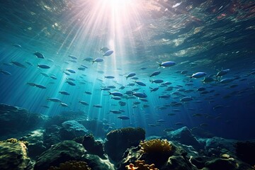 water transparent life Sea ocean fish school view Underwater animal deep aquatic atoll background...