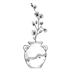 vases jars flowers hand drawn