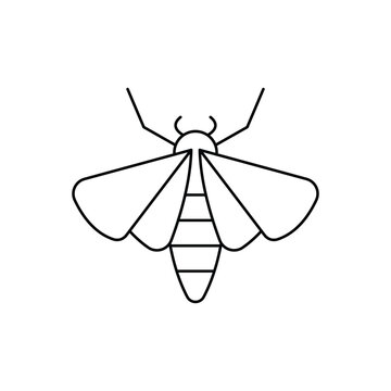 Moth icon design. isolated on white background. vector illustration