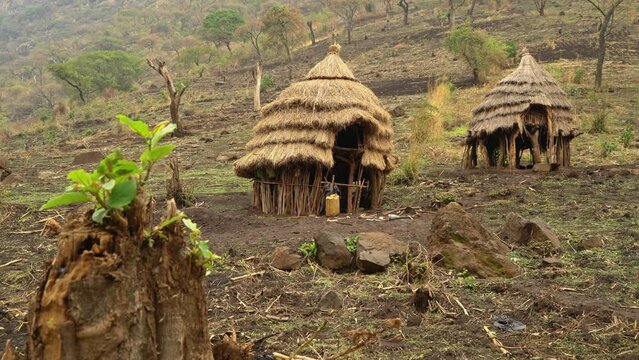 Rural and primitive huts in remote village of Tepes tribe, Uganda in Africa. Static view
