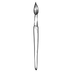 brush hand drawn illustration