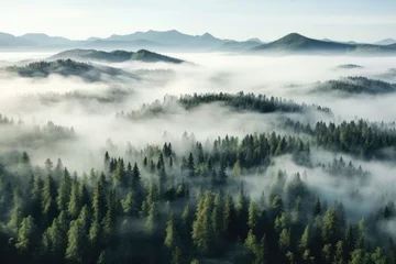 Fotobehang Foggy morning in the Carpathian Mountains, Ukraine, thick fog covered with thick coniferous forest. forest with a bird's eye view, AI Generated © Ifti Digital