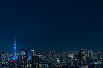 Fototapeta na wymiar ライトアップされた東京タワーと東京都心の夜景