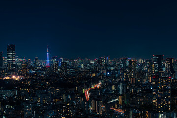ライトアップされた東京タワーと東京都心の夜景