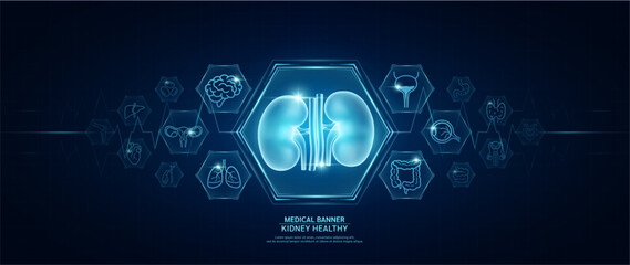Kidney healthy. Human organs icon symbols. Medical science banner design template. Health care medical check up too innovative futuristic digital technology. Examining organ and heart pulse. Vector.