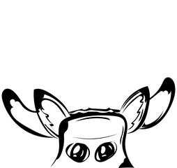 Kuh