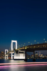 ライトアップされたレインボーブリッジと東京都心の夜景
