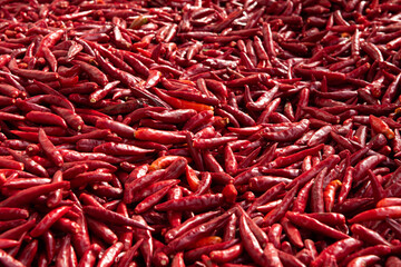 Fototapeta premium Ripe red hot chili peppers vegetable texture background. 