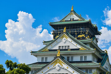 Fototapeta premium Osaka castle in Summer