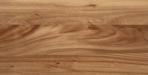 Elm wood plank texture. Wood plank texture background. Long elm empty desktop background.