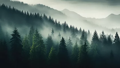 Fotobehang Green Mountain Peaks Embraced by Enchanting Forest Fog © Supardi