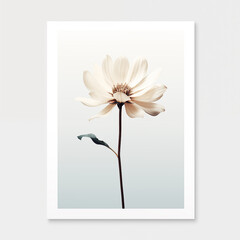 Minimalistic image of a white flower. For creating cards, posters, posts in retro vintage style