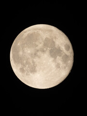 Naklejka premium full moon in the night