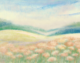 Image of flower field printed on Printed Glass Splashbacks