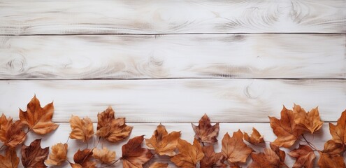 Autumn leaves on white boards over the background.