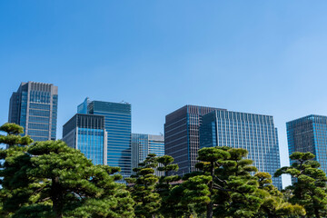 Obraz premium 東京 大手町・丸の内のオフィスビル群の風景