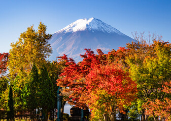 河口湖から富士山と紅葉
