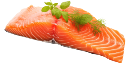 salmon meat on the transparent background