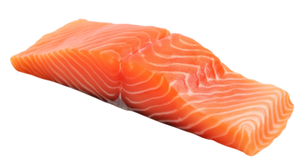 salmon meat on the transparent background