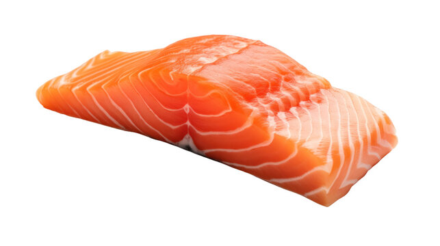 salmon meat on the transparent background