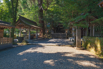宮﨑 高千穂神社 参道の風景