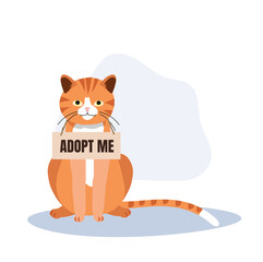 pet adoption and fostering concept. Homeless Furry Friend with Adoptable Collar. orange Cat with 'Adopt Me' Collar