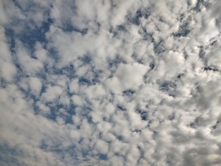 東京のそら(23.10.31)