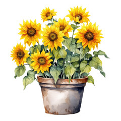 watercolor sunflower clipart