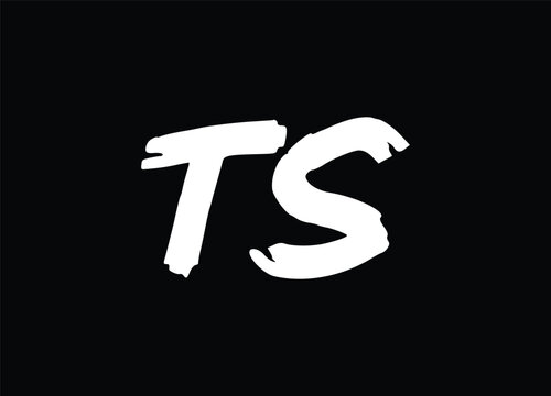 TS letter logo and monogram logo