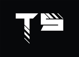 TS letter logo and monogram logo